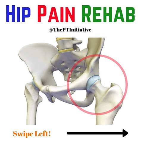 Hip Strength And Control For Hip Impingement And Fai 🔑two