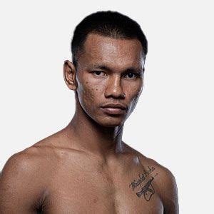 shadow    fights stats  trillertv