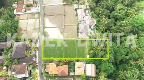 Dijual Tanah Tirta Tawar Ubud View Sawah Los Sungai Lingkungan Villa