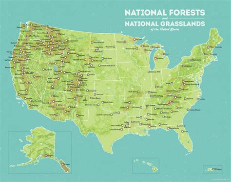 US National Forests Map 11x14 Print