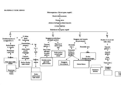 Pathway Syok Sepsis Rsui Minggu K4 Senja Paramita Pdf