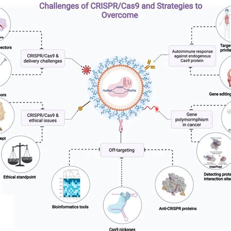 Challenges And Overcoming Strategies Of Crispr Cas Immunogenicity