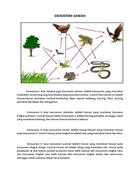 Ekosistem Sawah | PDF