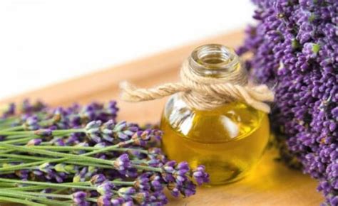 Beneficios Del Aceite De Lavanda Para La Salud De Tu Piel