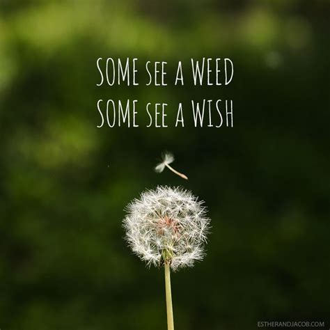 Quotes From Weeds. QuotesGram