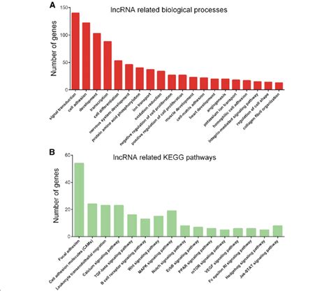 Go And Kegg Analyses Of Differentially Expressed Lncrnas In Colorectal