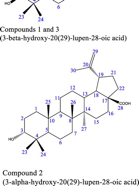 Figure 1 From Isolation Of Betulinic Acid From The Stem Bark And Root