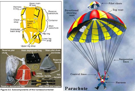 Skydiving With A Tandem Parachute Extreme Sports News