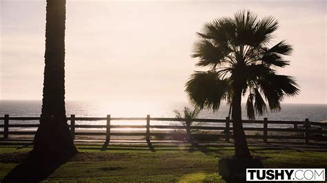 Free Tushy Black Porn Videos Tushy XHamster