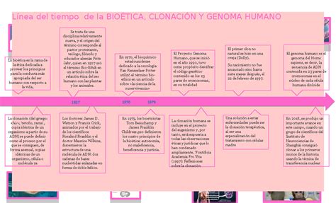 Línea Del Tiempo Linea Detallada Línea Del Tiempo De La BioÉtica