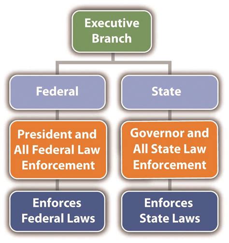 Why Is Executive Branch Important