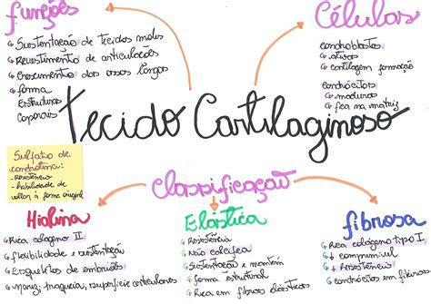 Tecido Cartilaginoso Mapa Mental