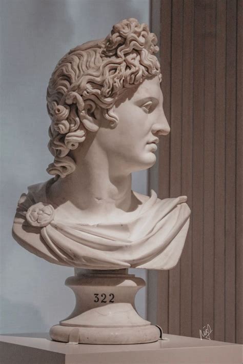 Apollo Belvedere Bust Artofit