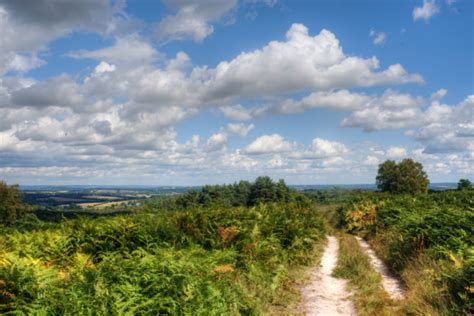 Explore & Learn | The Conservators of Ashdown Forest