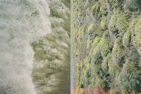 They call it brackish, crystalline, emerald, turbulent and calm. Deep