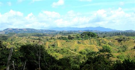 studio d: El Valle, Panama