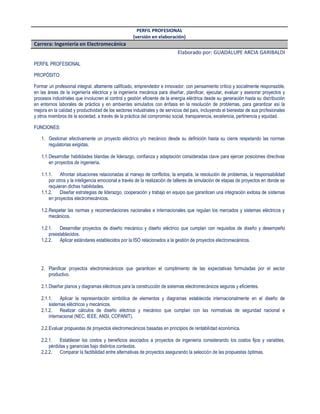 Perfil Profesional PDF