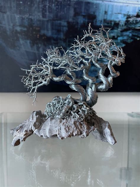 Windswept Bonsai Japanese Red Maple Bonsai Wire Juniper Wood Wire