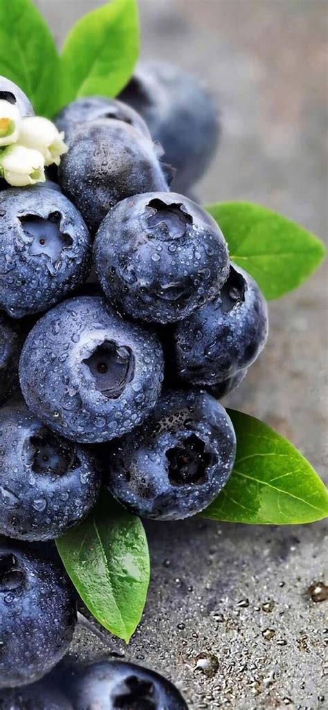 tong hop  hinh nen trai cay de thuong danh cho dien thoai