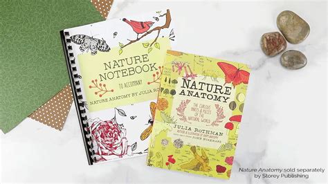 Notebooking Ideas For Nature Study