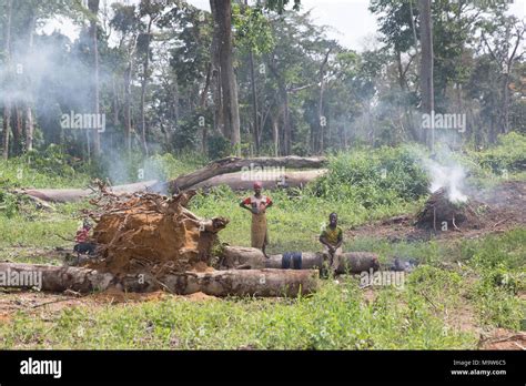 Atmosphere in the Ivory Coast Stock Photo - Alamy