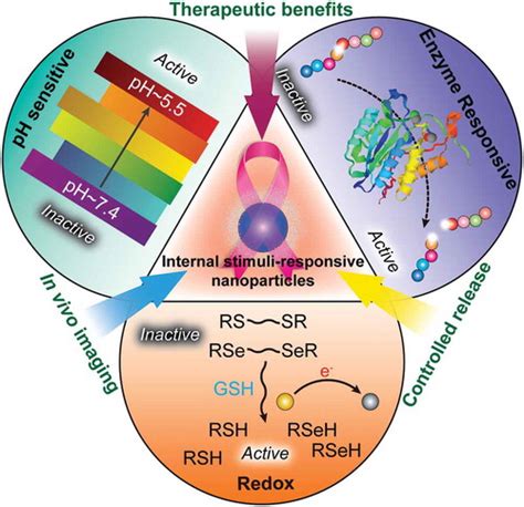 Full Article Functional Biomimetic Nanoparticles For Drug Delivery And