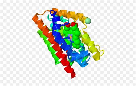 Crystal Structure Of Human Heme Oxygenase Crystal Structure Of