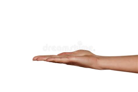 Human Hand Palm Facing Up Stock Photos Free And Royalty Free Stock