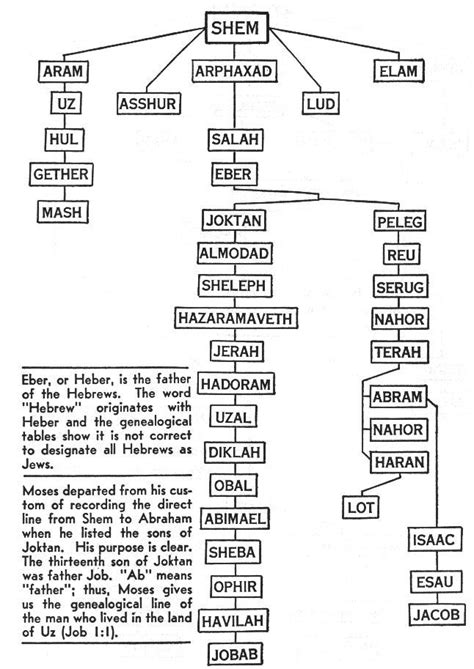 Family Tree Of Noah And His Sons