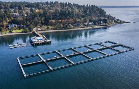 Center For Food Safety Press Releases Salmon Advocates Challenge