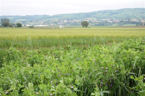 R Ussir Sa Transition Vers Lagriculture De Conservation Des Sols