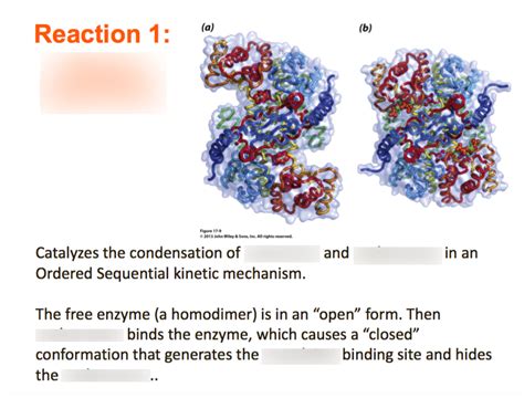 Citric Acid Reaction 1 Diagram Quizlet