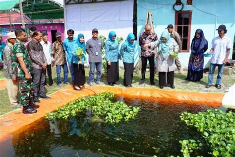 Langsung Kepada Presiden Isran Noor Perjuangkan Nasib Tenaga Honorer