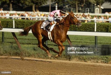 Affirmed Photos And Premium High Res Pictures Getty Images