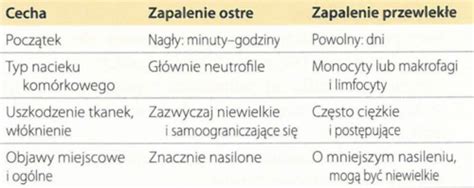 Fiszki Patomorfologia Wyk Ad Zapalenia Patomorfologia Sem