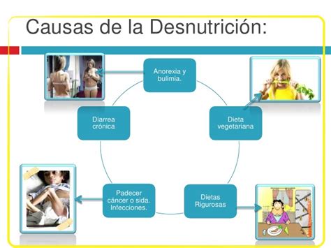 CAUSAS Y CONSECUENCIAS DE LA DESNUTRICION LA NUTRICION