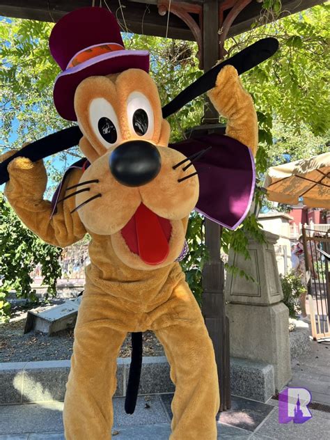 Pluto Debuts New Phantom Manor Costume at Disneyland Paris - Disney by Mark