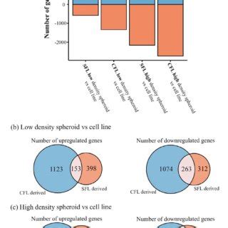 Differential Gene Expression Analysis A Abundance Of Differentially