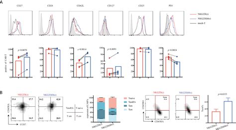 Frontiers Combination Of Bb And Dap Promotes Proliferation And