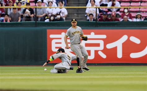 【阪神】渡辺諒、6戦ぶり「dh」で打点記録「最低限貢献できた」9日から古巣日本ハム戦 プロ野球写真ニュース 日刊スポーツ