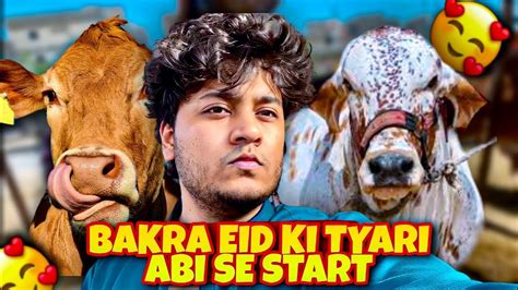 Eid Se Hee Bakra Eid Ki Tyari Shuru Tatti Content Youtube