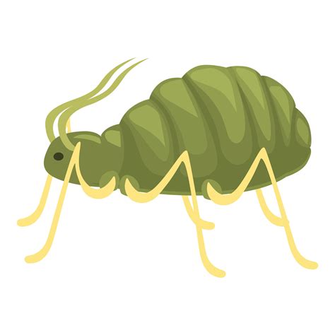 Green aphid insect pest crawling side view 47563185 Vector Art at Vecteezy