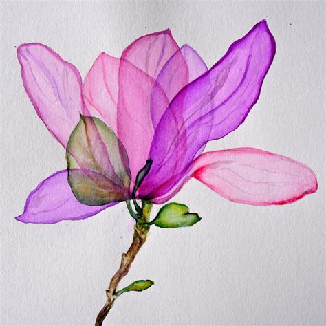 Magnolia Painting Original Art Flower Painting Eye Art Watercolor Floral Painting Original ...