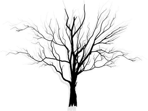 árbol de rama negra o siluetas de árboles desnudos ilustraciones