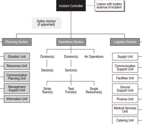 The Structure Of Aiims [12] Download Scientific Diagram