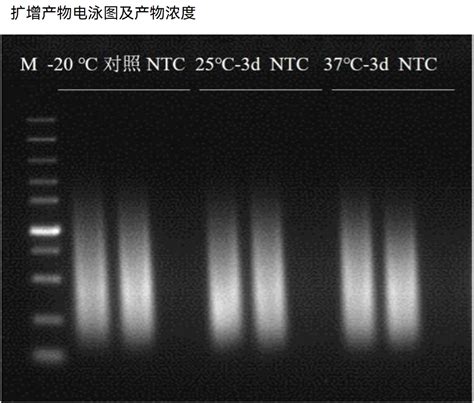 Single Cell WGA Kit