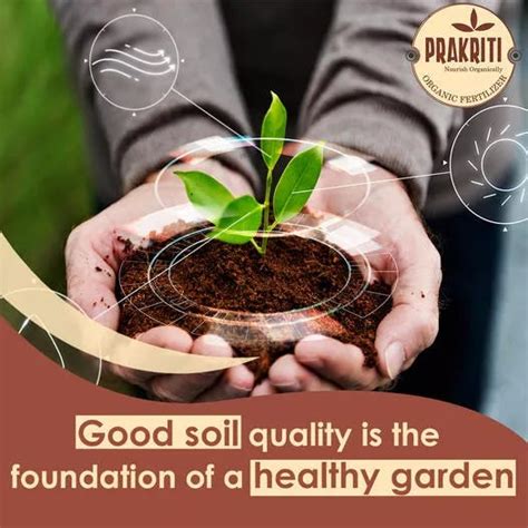 Organic fertilizer for vegetables - Organic Prakriti - Medium