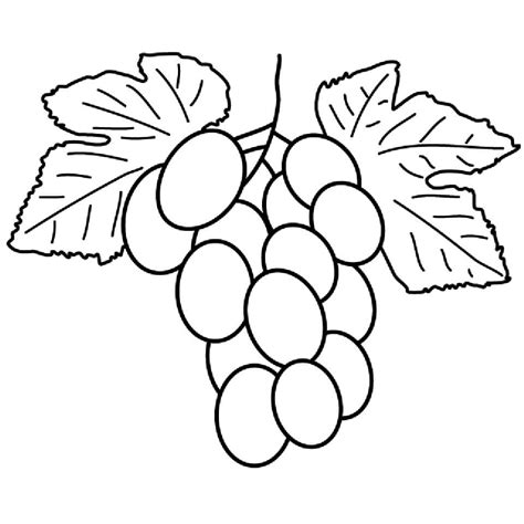 Racimo De Uvas Para Colorear Imprimir E Dibujar Coloringonlycom