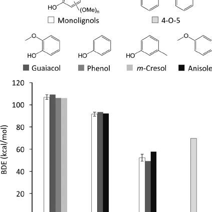 Pdf Insights Into The Catalytic Activity And Surface Modification Of