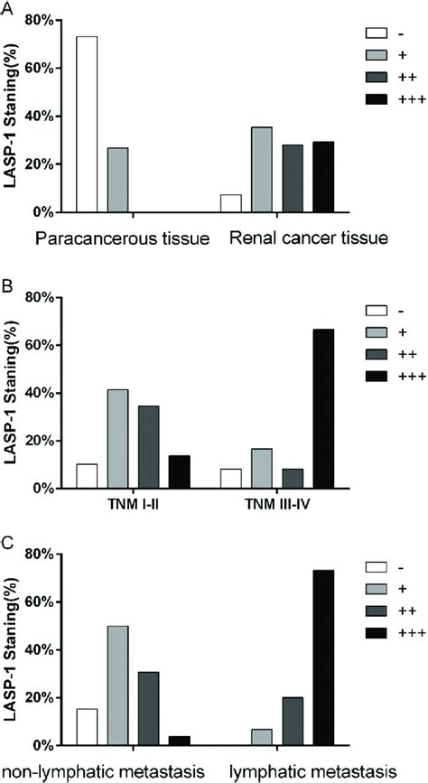 A Lasp Protein Levels In Rcc And Paracancerous Tissues Z